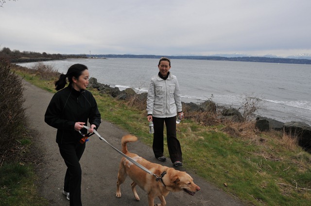 [DSC_4162[4].jpg]