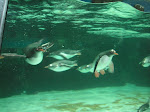 PICT8436.JPG
