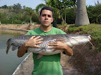 lagoa dos patos 17.jpg