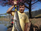 DSC02613.JPG