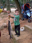 IMAG0060.JPG