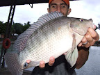 DSCF2125.JPG