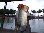 DSCF2126.JPG