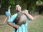 FOTO06.jpg