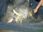 DSCN3282.JPG