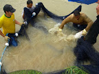 DSCN3445.JPG
