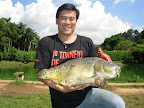 DSCN4217.JPG