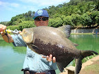 Pesqueiro Anhanguera 18-03-2008 003.jpg