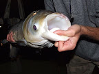 DSCF2279.JPG