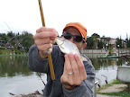 DSCF2281.JPG