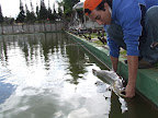 DSCF2296.JPG