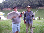 tilapia.jpg