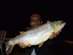 DSCF2223.JPG