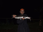 DSCF2233.JPG