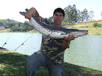 DSCF2253.JPG