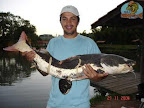 CASTELINHO0420.jpg