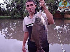 CASTELINHO0423.jpg