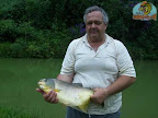 Pacu(6).jpg