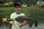 Pacu(26).jpg