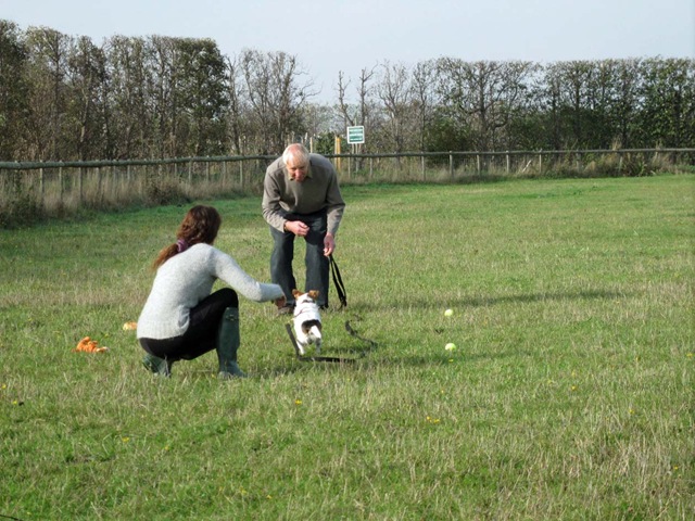 [Bella training[2].jpg]