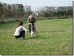 Bella training
