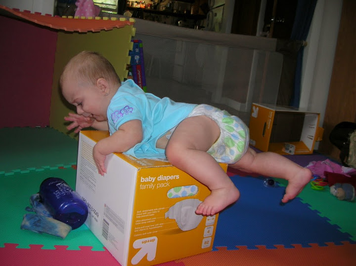DSCN9377.JPG