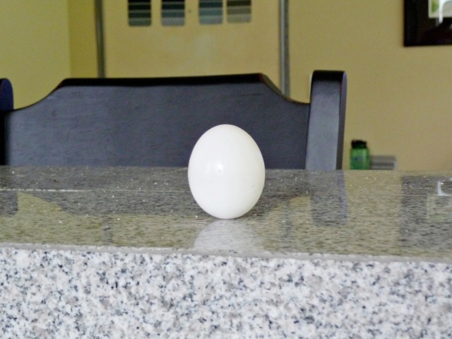 [egg[4].jpg]