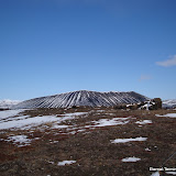 DSC01447.JPG