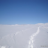 DSC01465.JPG