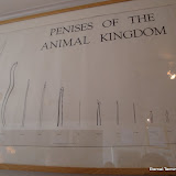 DSC01518.JPG