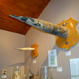 DSC01519.JPG