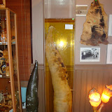 DSC01522.JPG