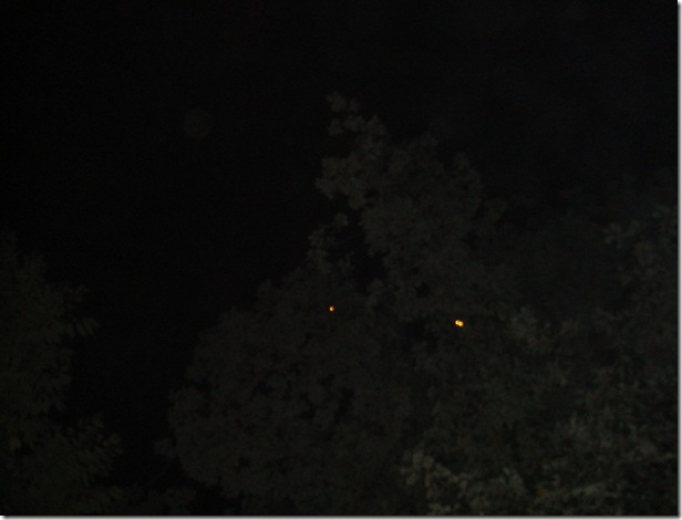 DSC02783 DSC02783