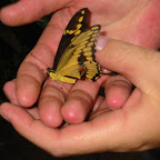 116-1666_IMG.JPG