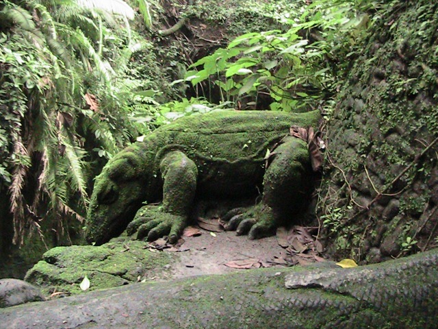 [monkey forest[4].jpg]