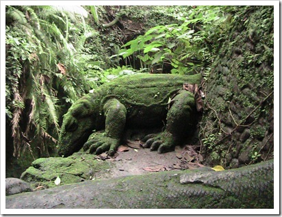 monkey forest