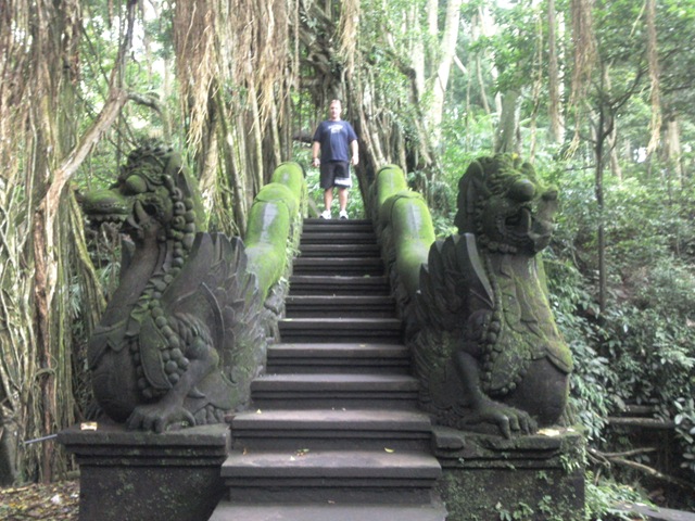 [monkey forest 2[14].jpg]