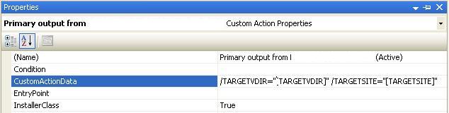 [CustomActionData.JPG]