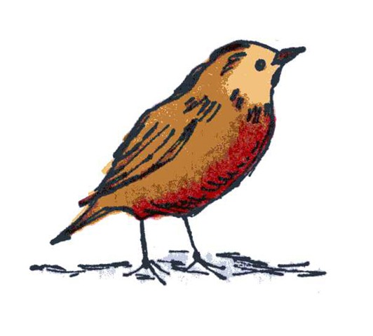 [Robin Redbreast[5].jpg]