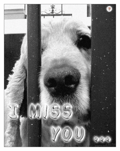 Sad Miss U