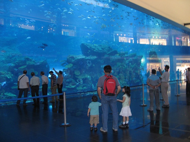 [0843.jpg]