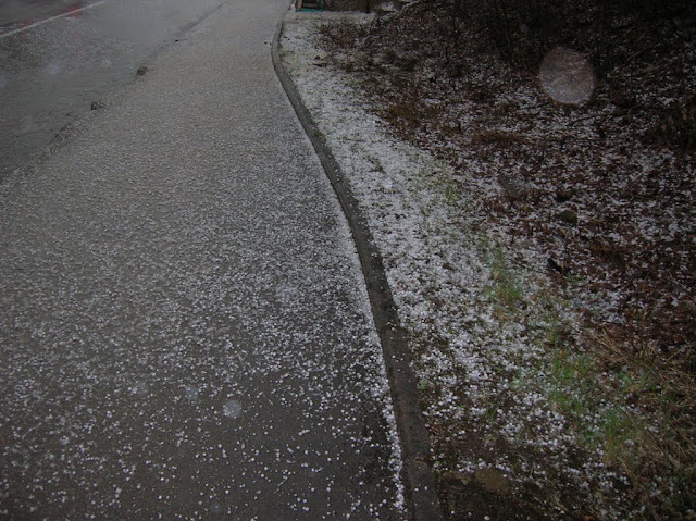 DSCN5467.JPG