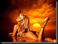 pamela anderson free wallpapers