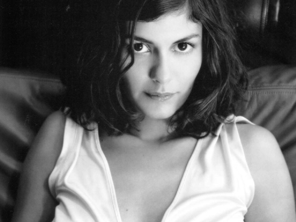 [Audrey Tautou 17 1024x768 Hollywood Celebrity Pictures[2].jpg]