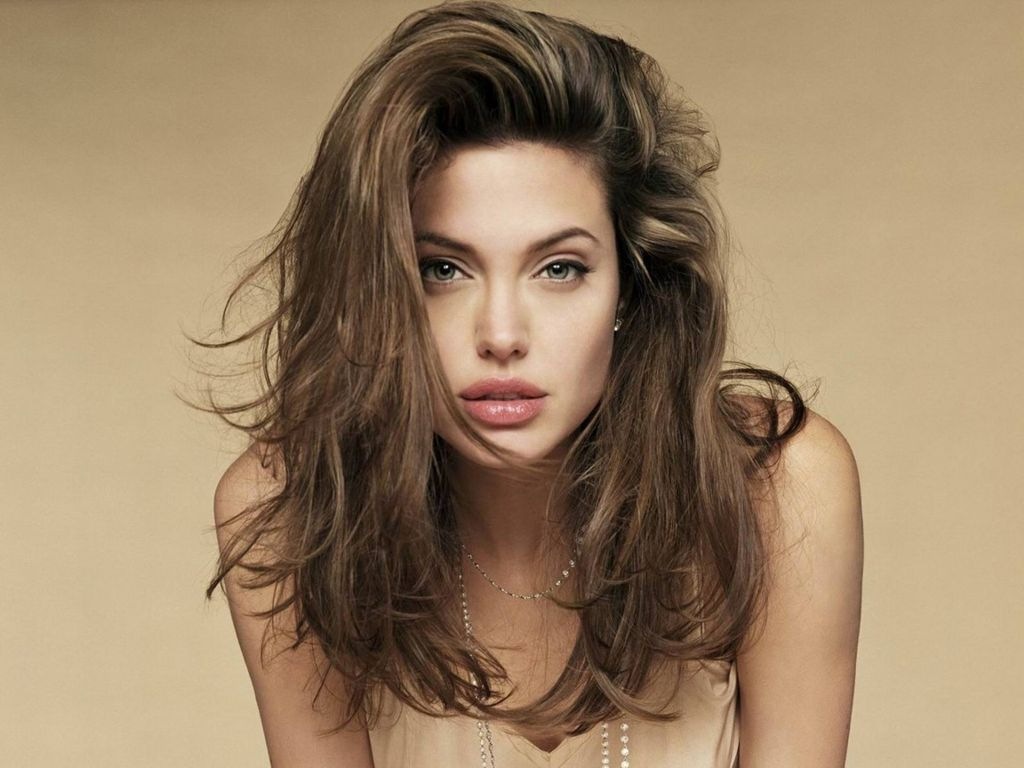 [Angelina Jolie 1024x768 1 high quality celebrity wallapers[5].jpg]