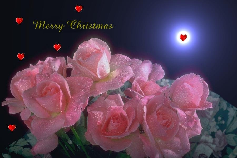 [Christmas Love Cards 6 hollywood stars photos  [2].jpg]