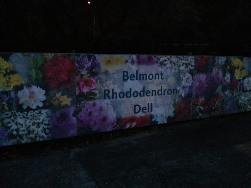 Belmont Rhododendron Dell