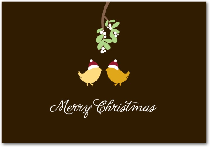 chicks and mistletoe