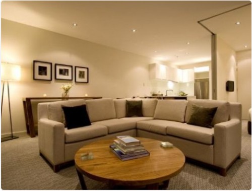 luxury decorating apartment living room ideas