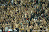 2010-09-21 Pogon Szczecin - Legia Warszawa
